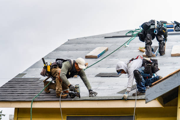 Professional Roofing technician working in Wishek, ND